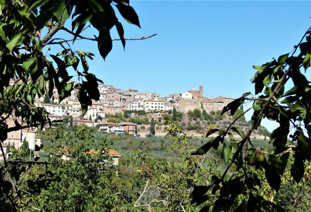 Agriturismo La Pietriccia Chianciano Terme Ngoại thất bức ảnh