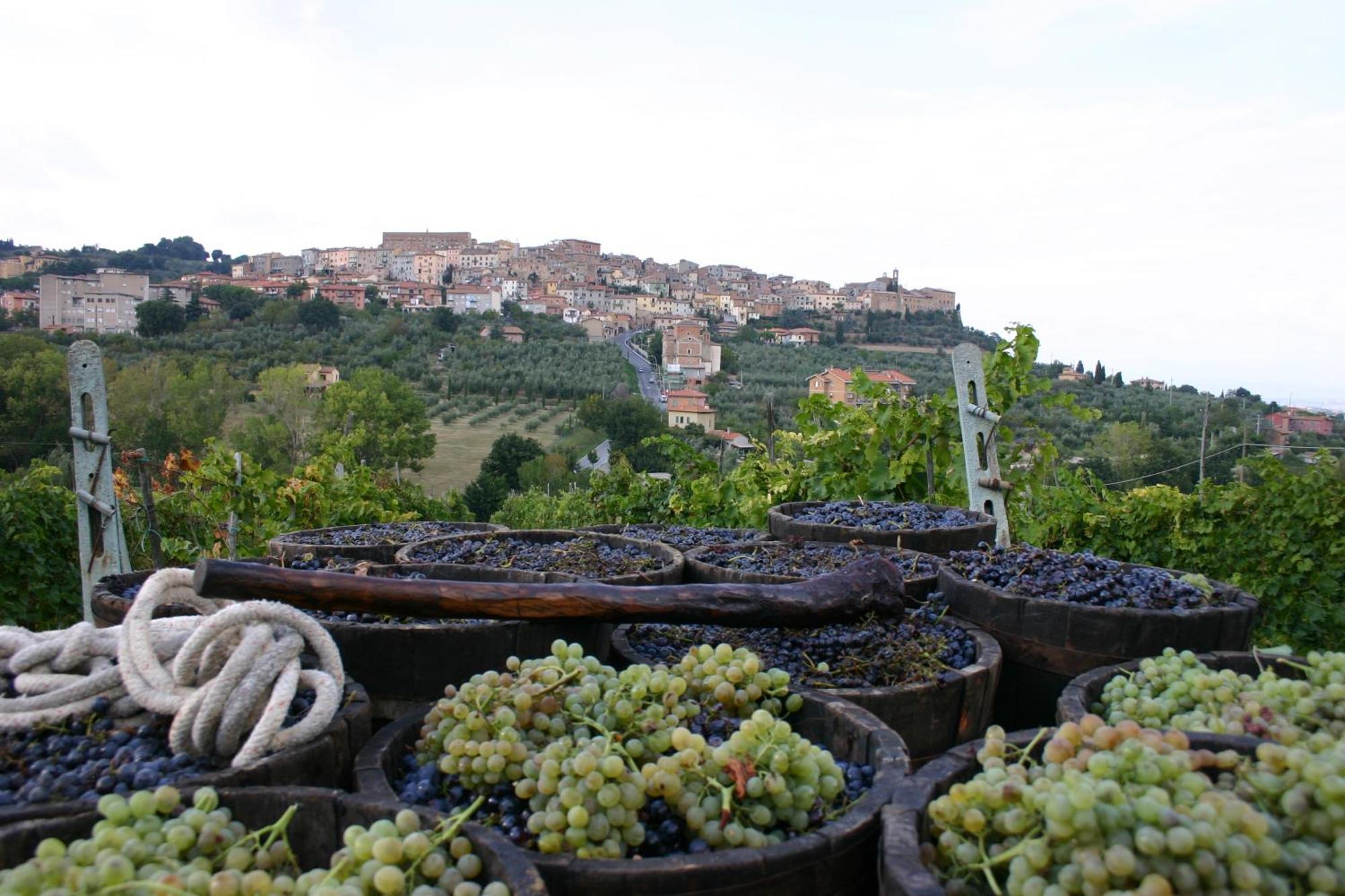 Agriturismo La Pietriccia Chianciano Terme Ngoại thất bức ảnh