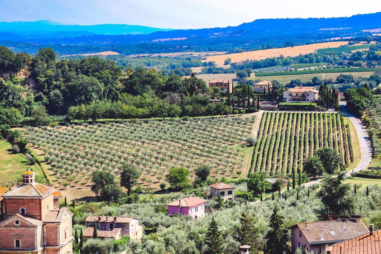 Agriturismo La Pietriccia Chianciano Terme Ngoại thất bức ảnh